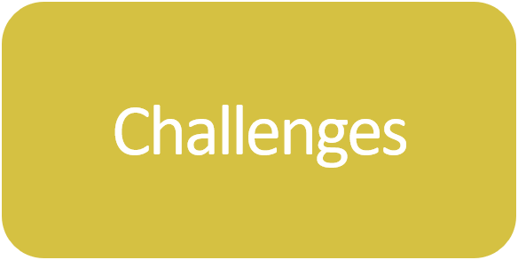 Challenges