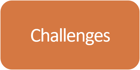 Enneagram Type 1 Challenges