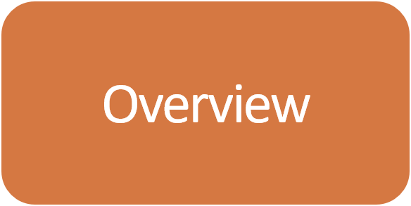 Enneagram Type 1 Overview