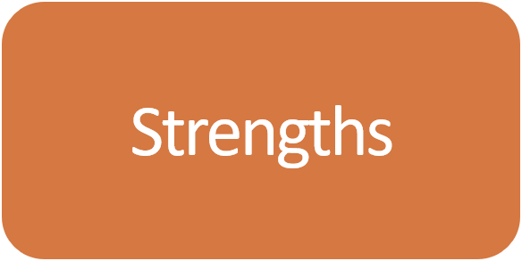 Enneagram Type 1 Strengths